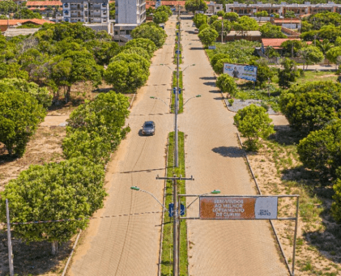 Bosque em guriri