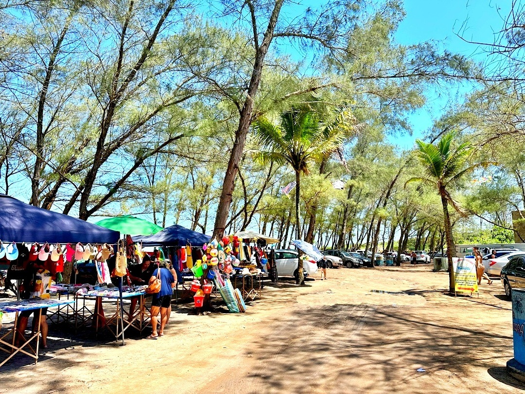 Praia do Bosque Guriri ES (19)