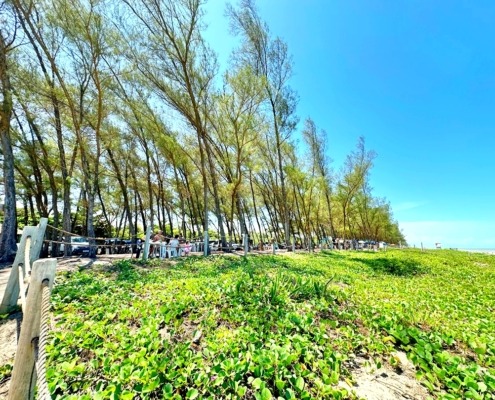 Praia do Bosque Guriri ES (2)