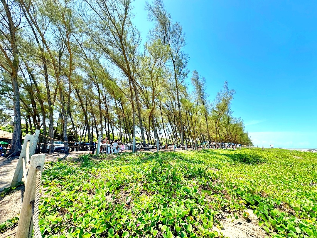 Praia do Bosque Guriri ES (2)