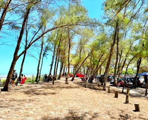 Praia do Bosque Guriri ES (23)