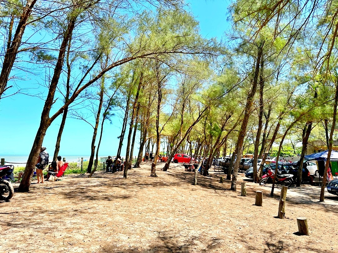 Praia do Bosque Guriri ES (23)