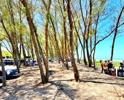 Praia do Bosque Guriri ES (24)