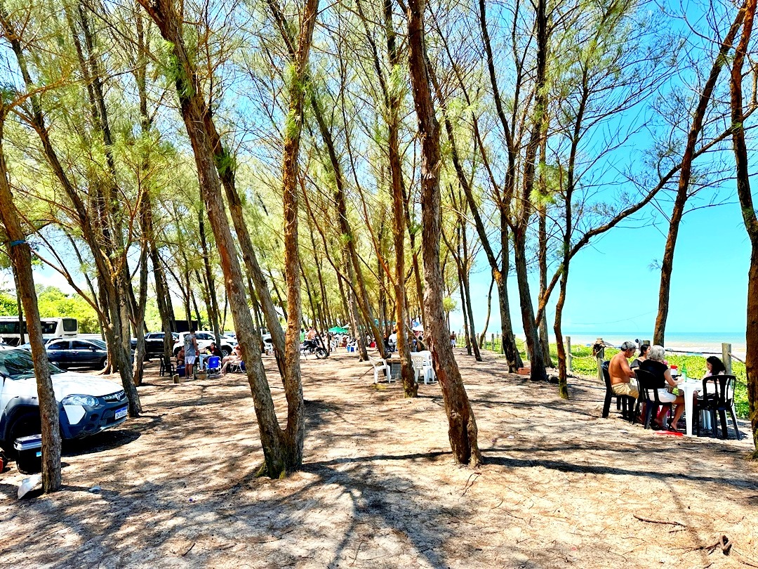 Praia do Bosque Guriri ES (24)