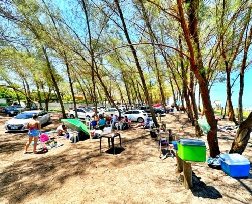 Praia do Bosque Guriri ES (27)