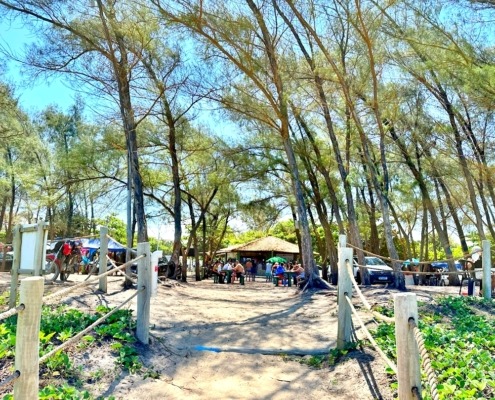 Praia do Bosque Guriri ES (3)