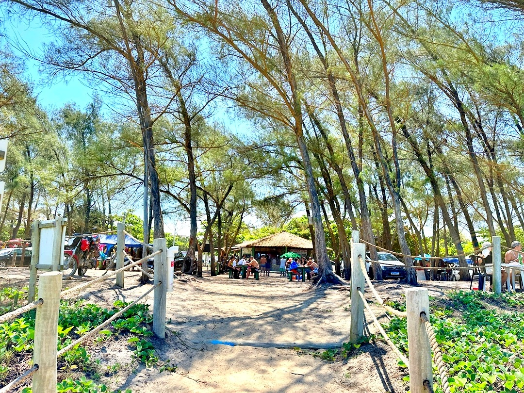Praia do Bosque Guriri ES (3)