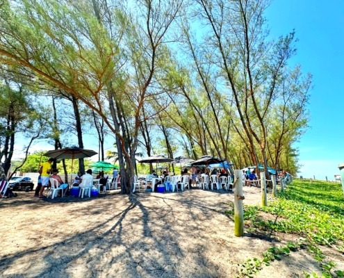 Praia do Bosque Guriri ES (30)