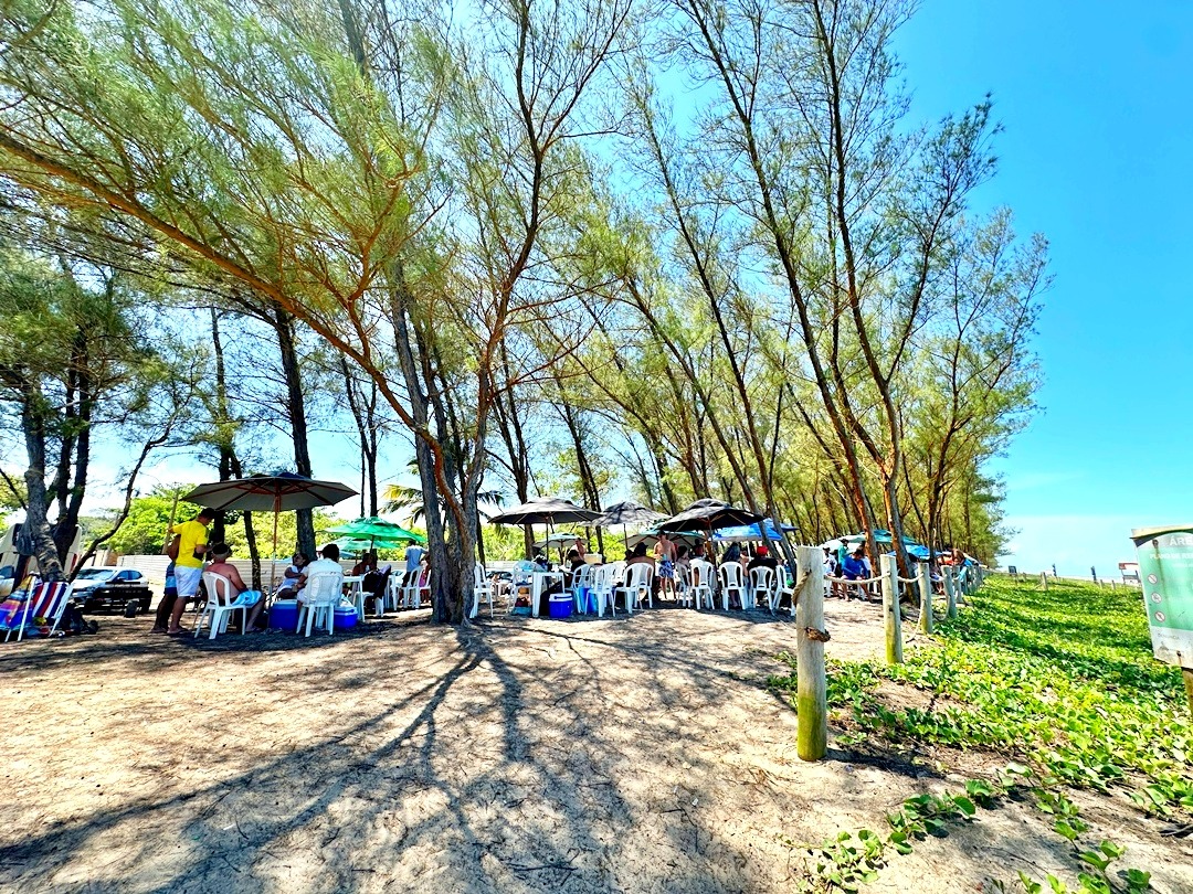 Praia do Bosque Guriri ES (30)