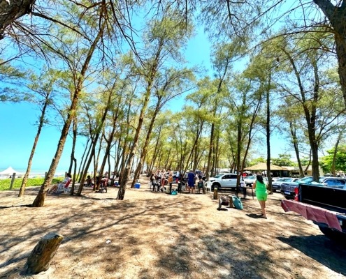 Praia do Bosque Guriri ES (31)