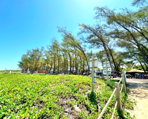 Praia do Bosque Guriri ES (4)