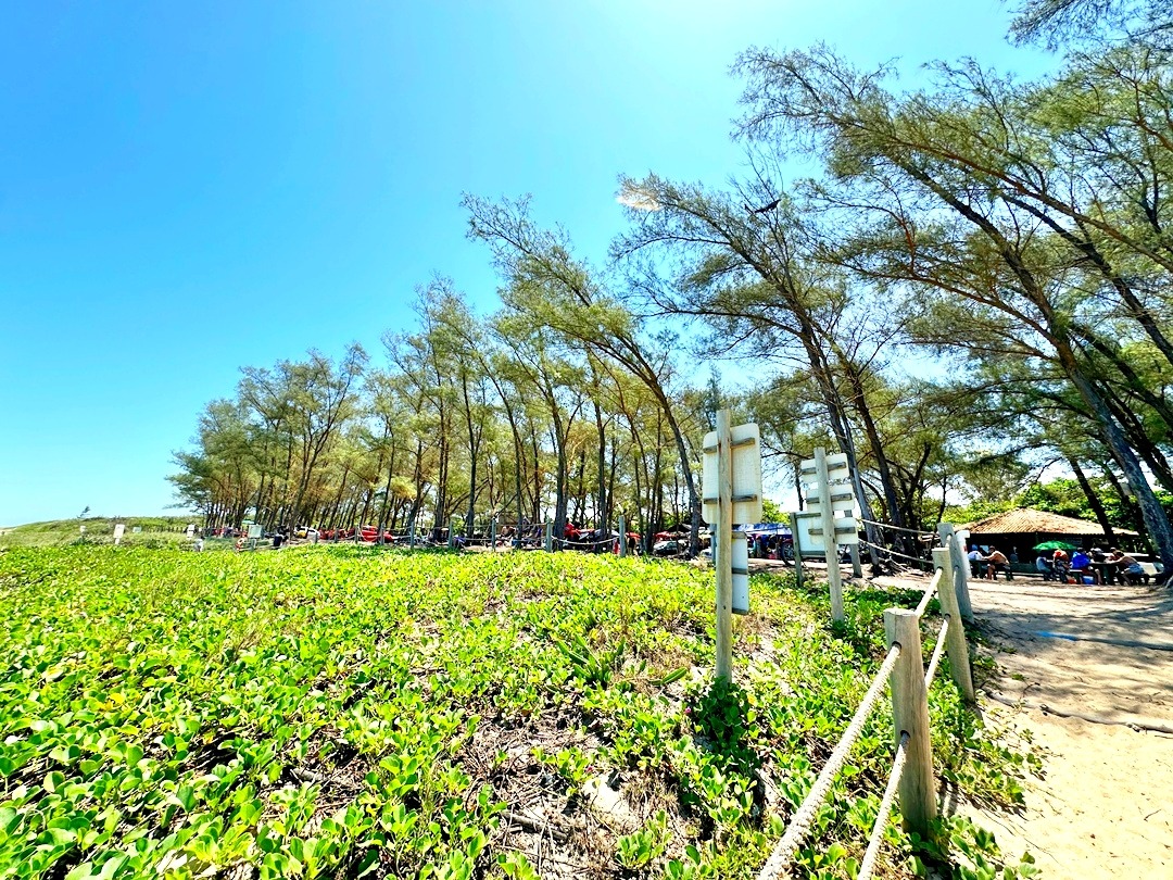 Praia do Bosque Guriri ES (4)